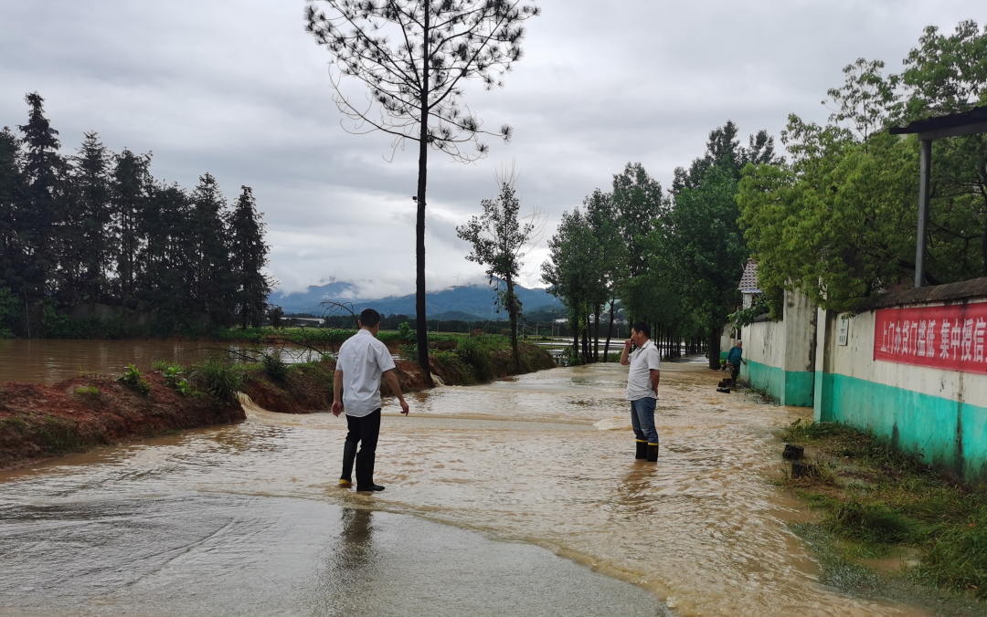 吉安公司:冒雨勘察積水路況 守護市民安全出行